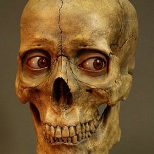 Meet your Posher, Joey